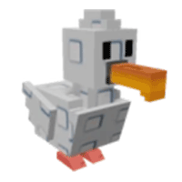 Seagull - Common from Common Summer Egg